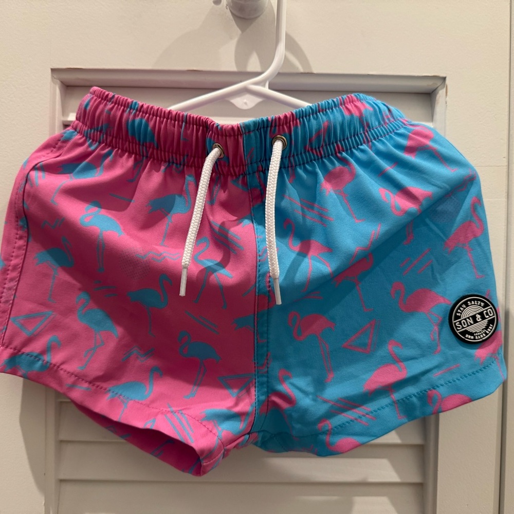 Pink and Blue Flamingo Swim Shorts